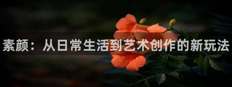 优贝娱乐的意思：素颜：从日常生活到艺术创作的新玩法