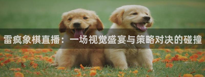 51视频在线直播nba：雷疯象棋直播：一场视觉盛宴与策略对决的碰撞