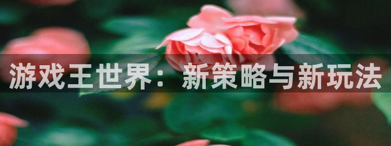 优贝娱乐：游戏王世界：新策略与新玩法