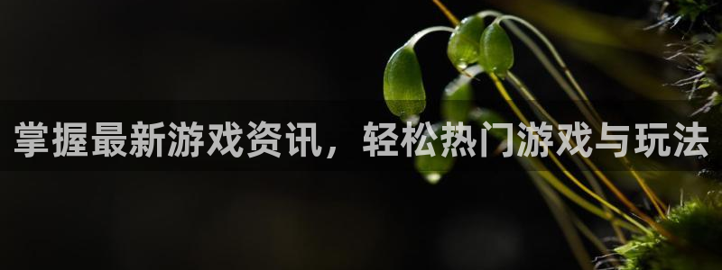 优贝娱乐测速：掌握最新游戏资讯，轻松热门游戏与玩法