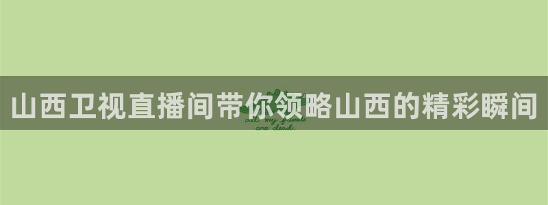 51视频在线直播nba：山西卫视直播间带你领略山西的精彩瞬间