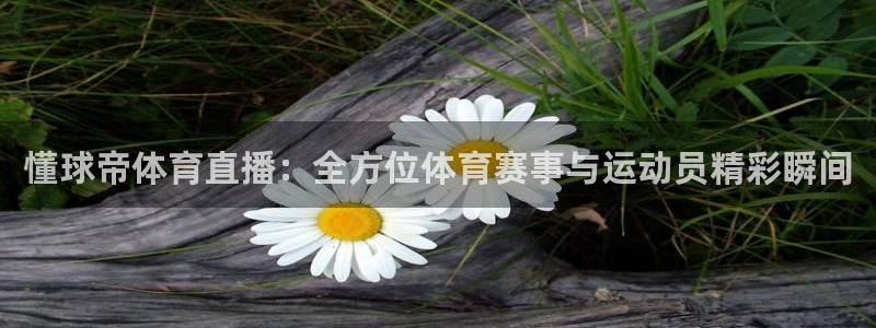 51视频在线直播nba：懂球帝体育直播：全方位体育赛事与运动员精彩瞬间
