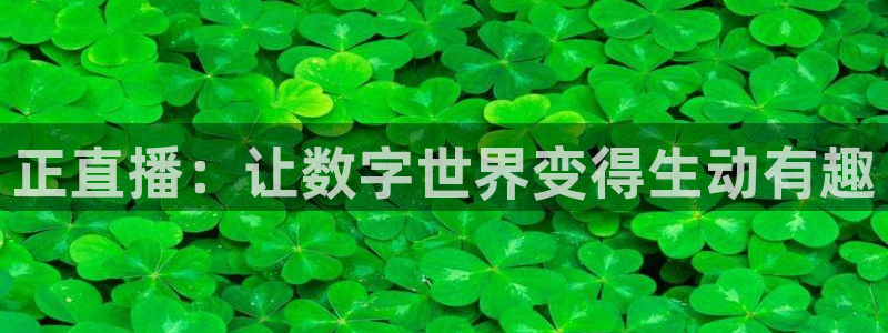 51视频在线直播nba：正直播：让数字世界变得生动有趣