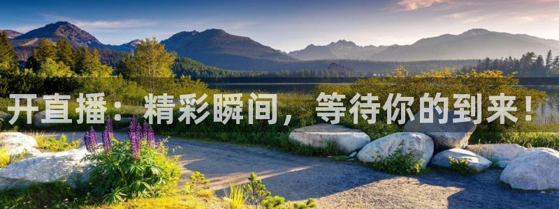 51视频在线直播nba：开直播：精彩瞬间，等待你的到来！