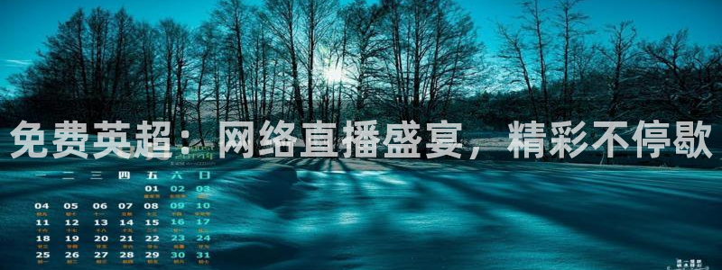 51视频在线直播nba：免费英超：网络直播盛宴，精彩不停歇