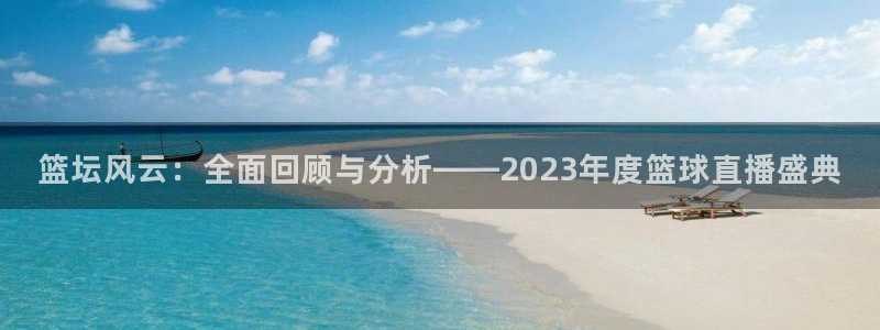 51视频在线直播nba：篮坛风云：全面回顾与分析——2023年度篮球直播盛典